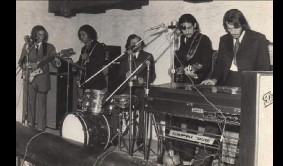 bichos