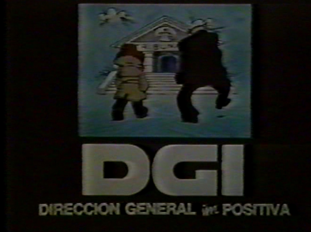 doblecontabilidad